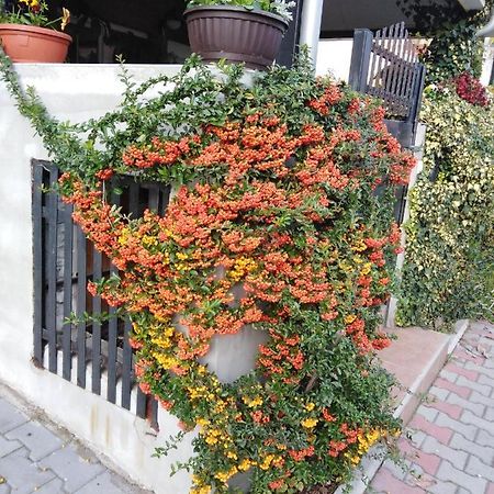 Apartment Fenix Ni エクステリア 写真