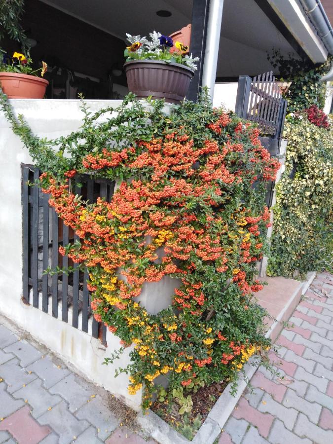 Apartment Fenix Ni エクステリア 写真